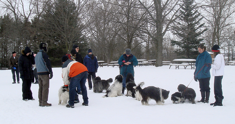 Winter Walk